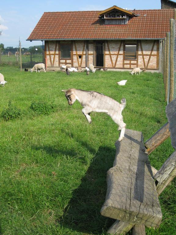Ferienhof Roesch Bad Wurzach Eksteriør bilde